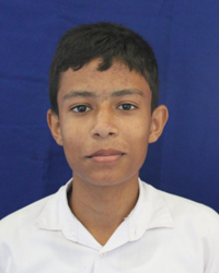 තිමිර විදුල් දම්සර